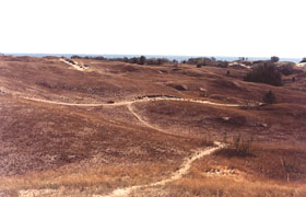 Die Dünenlandschaft der Kurischen Nehrung